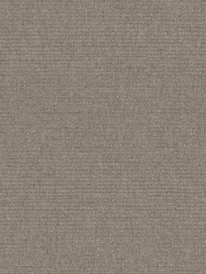 color-rug1